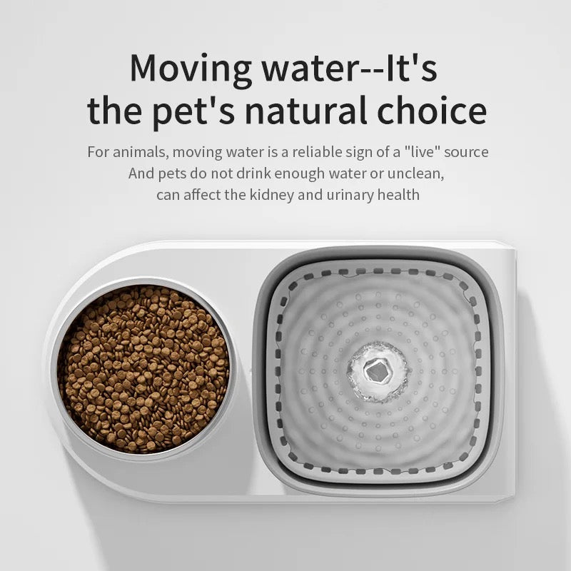 Pet Hydrate Pro - Water Fountain & Food Bowl